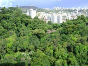 Contador Luxemburgo BH faz IRPF